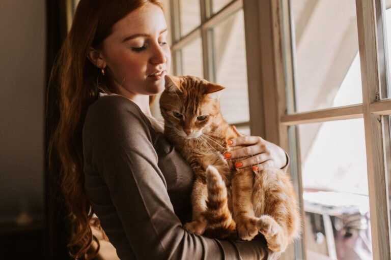 Chat stressé pourquoi et que faire pour l’apaiser