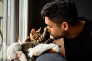 Calmant pour chat solutions naturelles contre le stress, calmant chat