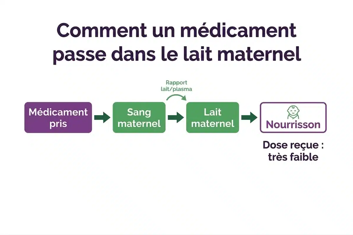 Schéma passage médicament dans le lait maternel Schéma titré expliquant comment un médicament passe du sang maternel au lait maternel, dose reçue par le nourrisson très faible