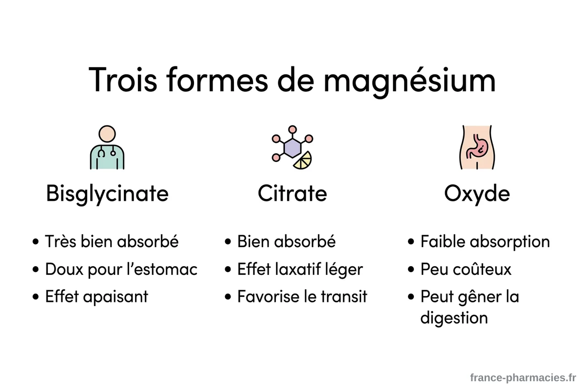 Trois formes de magnésium comparées Infographie comparant le bisglycinate, le citrate et l'oxyde de magnésium
